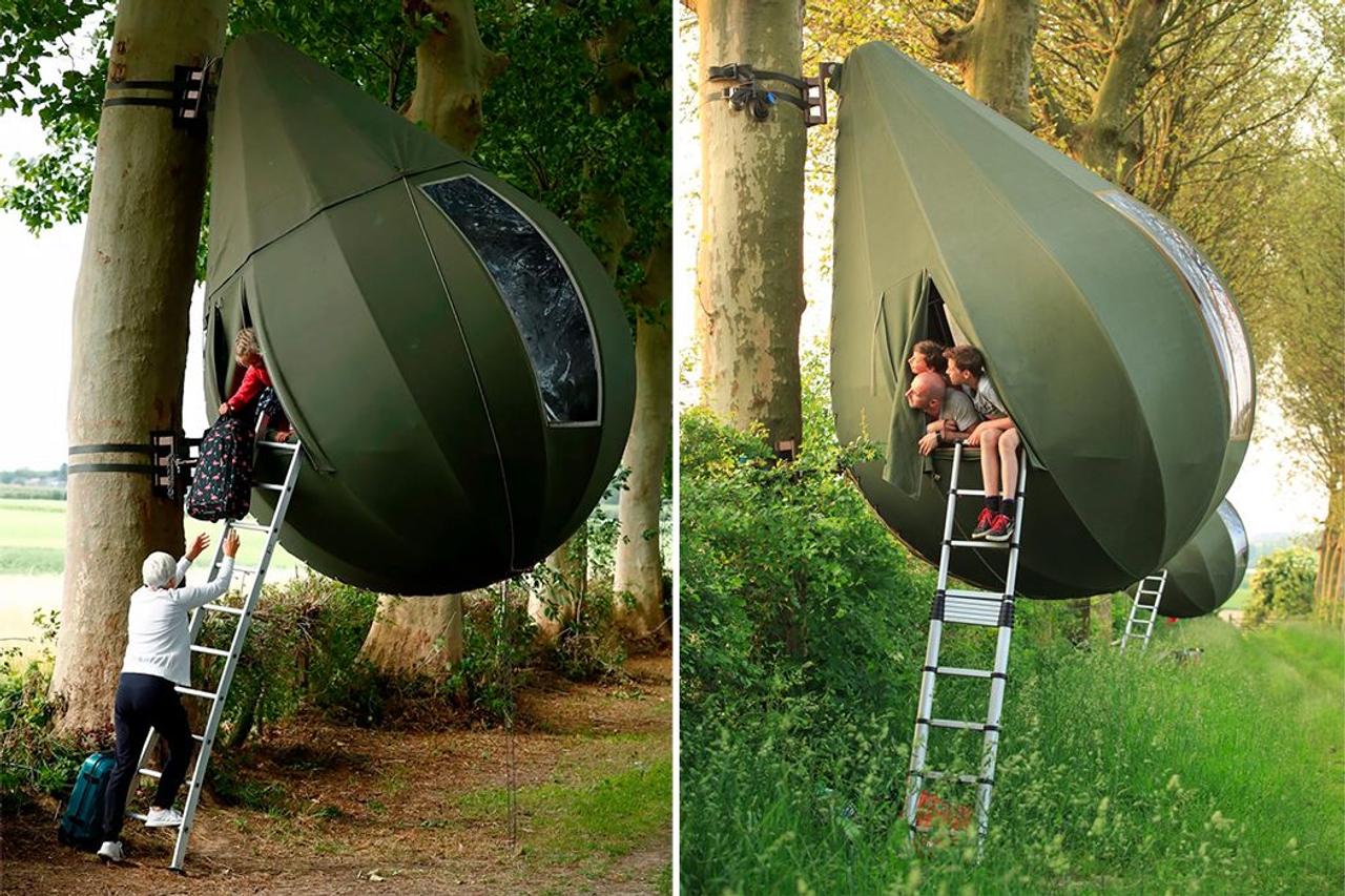 Кемпинг в форме «авокадо» создан для любителей отдыхать на деревьях