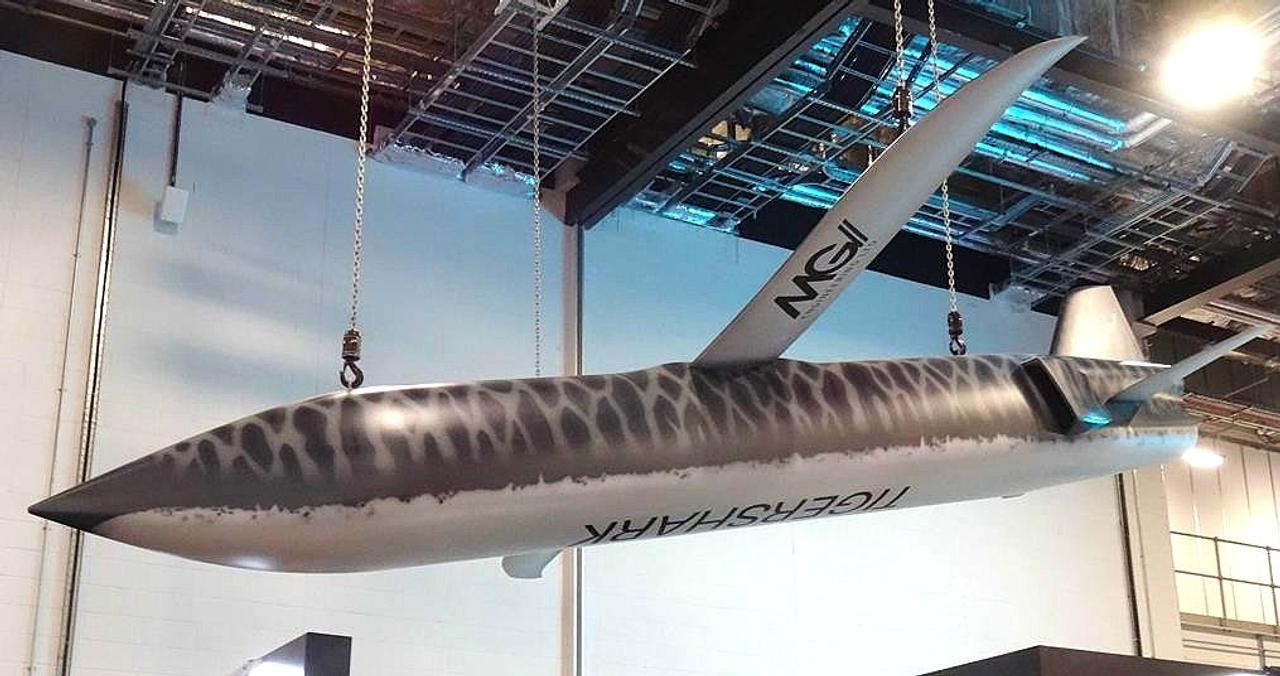 Новый европейский ударный дрон TigerShark с дальностью 1000+ км — дешевая альтернатива крылатым ракетам