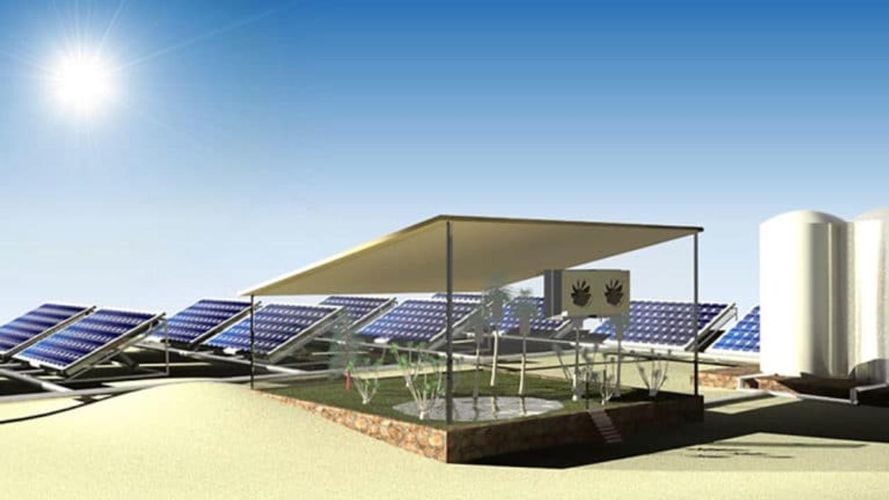 Солнечная система производит электричество и пресную воду в пустыне для выращивания растений