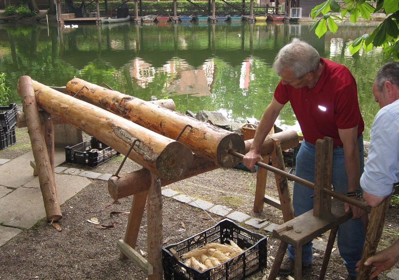 Как получить электричество из древесины замоченной в воде