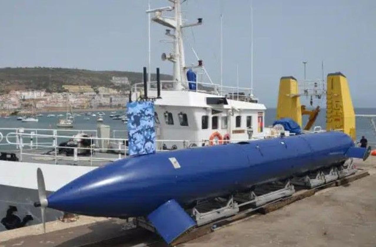 В Италии разрабатывают беспилотную подводную лодку BlueWhale, большой дальности, для разведывательных миссий