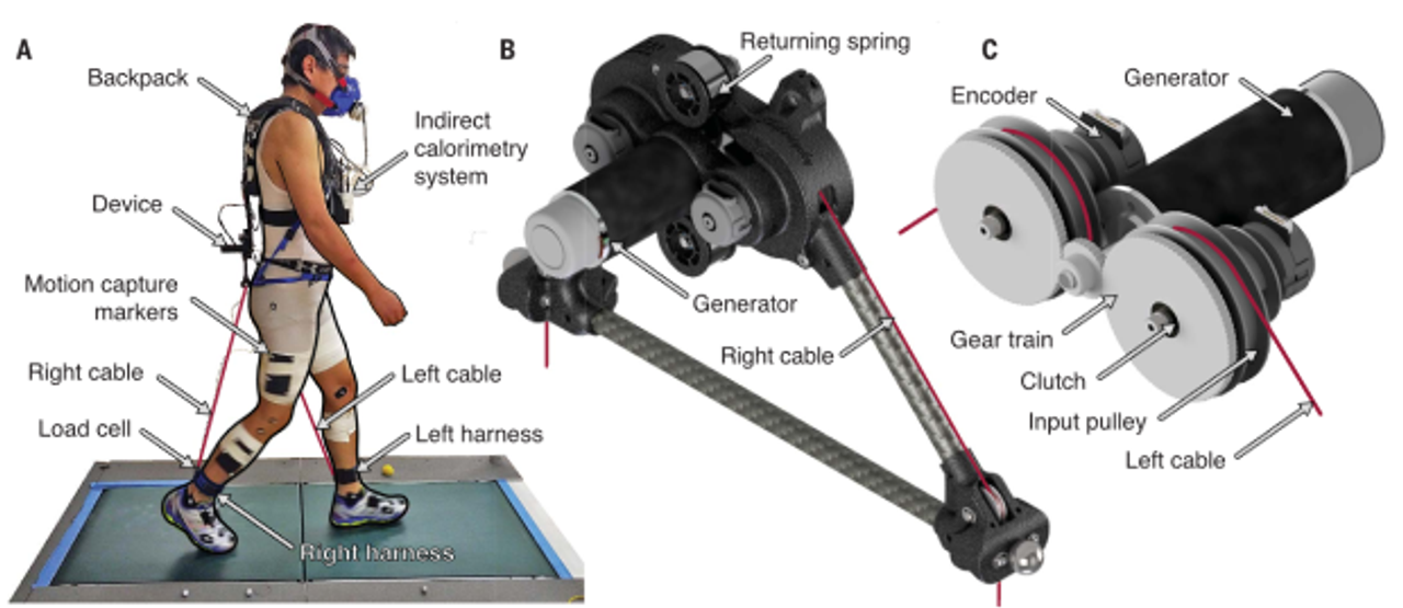 Экзоскелет превратили в генератор, который вырабатывает энергию при ходьбе