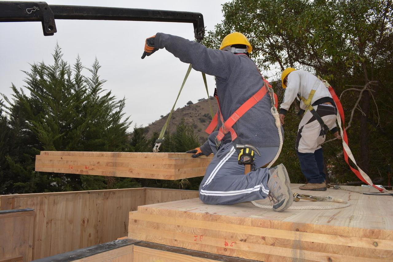 Сможет ли кросс-ламинированная древесина (CLT) заменить бетон при строительстве домов