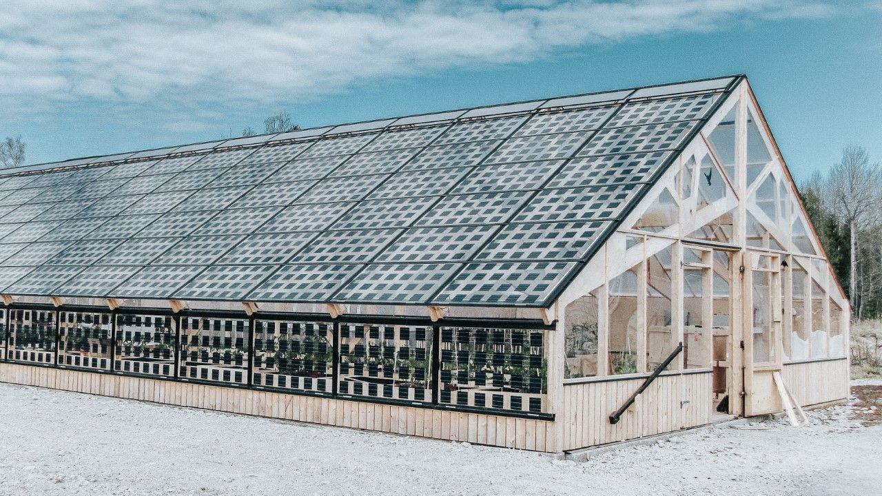Компания Solitek представила прозрачные солнечные панели для теплиц с КПД 12,6% 